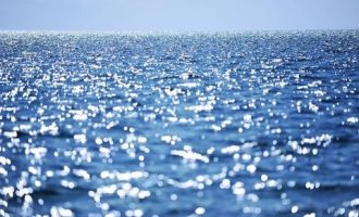 官场微小说：苦心_公务员工资