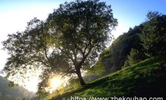 经典小小说：过桥_遴选考试