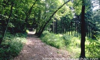 七一入党誓词专题党课，再忆入党初心！_入党积极分子