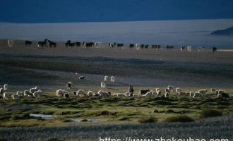 注意！你退休后拿多少钱，由这4个因素决定_离退休干部