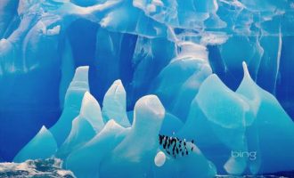 1368名公职人员因“混日子”被处理！_文书处理