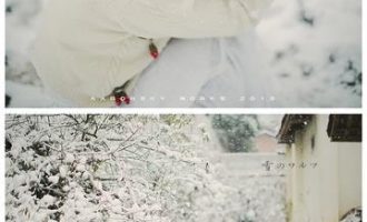 【重磅】党的十八届七中全会公报发布，定了这些大事_四川公务员