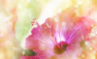 新任南京市委副书记韩立明美文10篇_许昌市委书记