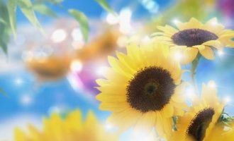 中组部笔杆子：当官要做好10道选择题_当官