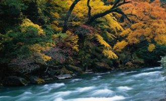 山西运城原市委副书记安永全的高考，看哭了无数人……（附视频）_庆阳市委书记