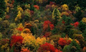 2019年事业编干部的最大心愿是_干部作风建设