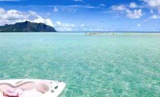 刚刚，“云联惠”特大网络传销犯罪团伙被摧毁！_购岗