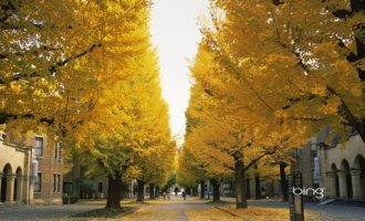 五年的体制内生活教会我的，想考公务员的必看！_重庆市公务员