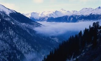 小伙子，你是乡镇的吧？！_乡镇长