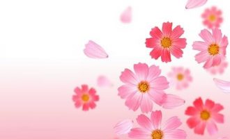 也说官场小人！_人才引进