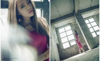 体制内，你是那只被电击的小白鼠吗？_南昌市市长