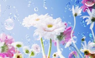 疫情期间清明节祭祀倡议书_社主任