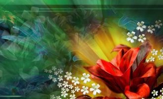 荐读：《释然于淡忘》（静心好文）_梦到领导