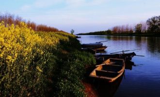 我希望发工资的时候能让我有一种_党内政治生活