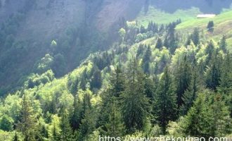 身体“必须要休息”的7个信号_领导述职报告