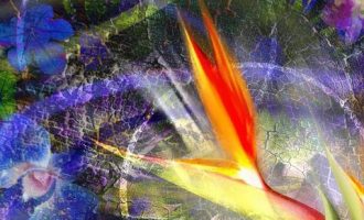 基层干部的人生就像这2张图片！_基层干部