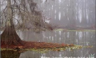 【责任清单】这篇文章把各单位责任清单全列清楚了，附详细表格！_目标责任书