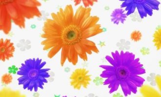 8119605_发文字号格式