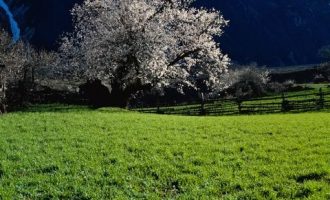 国家粮食和物资储备局公开招聘869人！_公务员招聘