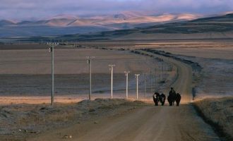 犀利！公职人员休假质量，才能真正检验“减负”成效！_公职人员