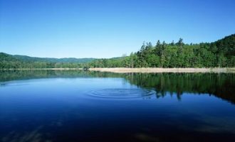 痛心！湖北一干部因公殉职，年仅39岁_湖北省省长