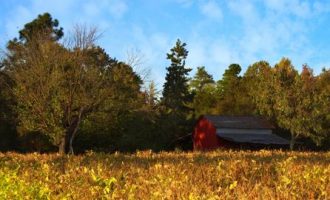 女公务员怀孕那些事儿！！！_公务员考核