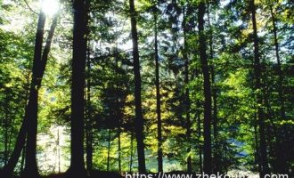 甲有5套房，不上班，靠收房租生活；乙有1套房，上班赚工资……_纪委工作职责