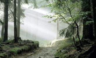 你为什么混不好职场？第三是看远，第二是看宽，第一是_职场