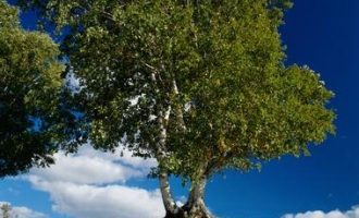 现代版《陋室铭，道尽世间百态，真是太有才了！_汇报总结