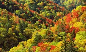 细数基层干部的七大焦虑_基层干部