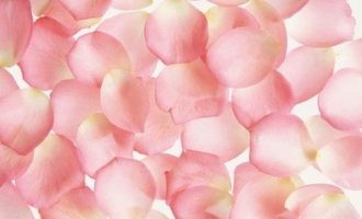 “不闹没人管，一闹就软”，基层如此两难境地怎么破？_教育局长