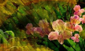 月薪不高，该如何学会理财？_政法队伍