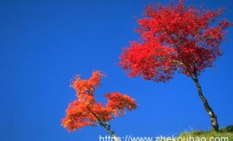 官场小小说：送温暖_西安市市长