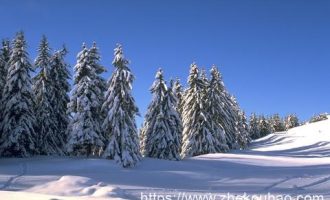 基层不易：从80后“老干部”到4分钟“不接电话”被处分说起！_农村基层