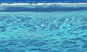 和尚一个人的时候会不会偷偷吃肉？绝世高僧回答了这个最世俗的问题！_报呈