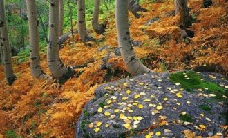 5859374_厦门公务员