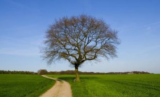 公开招1000名警察（男600人，女400人）！市公安局面向社会大量招人啦！不限户籍，专科学历即可！快转给身边需要的人_自查