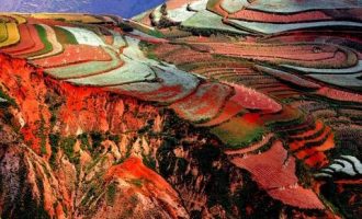 一支引发数亿人泪奔的短片：这就是离家的意义！_警察考试