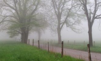 省委组织部长：事业编职级并行，解决同工不同酬，乡镇工资高于县直_女组织部长