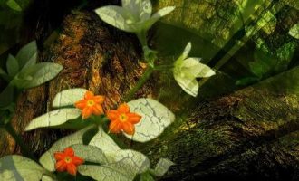 官场微小说：穿错了市长的皮鞋后_莆田市市长