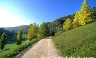 在机关不懂这九大规则，能力再强也没用！_行政机关