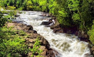 没见识的努力，都是瞎忙_总经济师