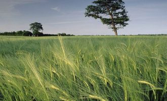 司机小学门口不礼让，顶着学生前行，公安局：拘留！_北京公安局长