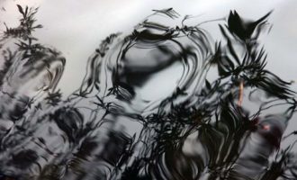 女市长上任：我将以女性的细腻抓实每一项工作，以女性的执着担当每一份责任_工勤人员