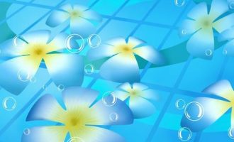 一等奖微小说：《 过桥 ！》感人至深_四大班子