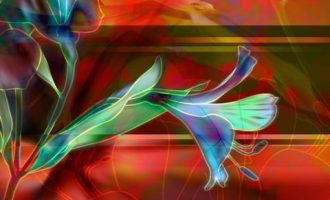 你家有吗？它能“吃”掉菜里农药残留、肉里激素……_漯河市委书记