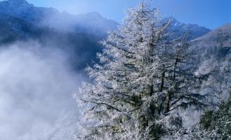 招募：500名学生，9元上16节课，报满为止，限时抢购！（另赠电子教辅）_干部相关词_1646788150