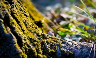 聪明的人，都戒掉了饭局_河南招警