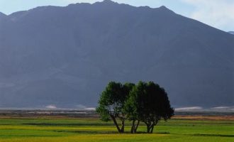 5452874_优秀干部