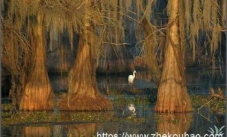 各单位疫情防控先进事迹材料汇编_建设厅长